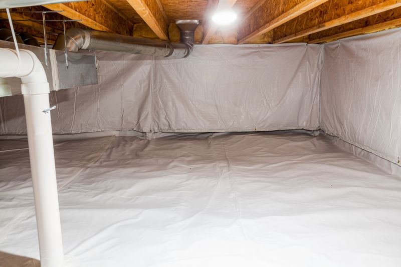Crawl Space Remediation in Conroe, TX