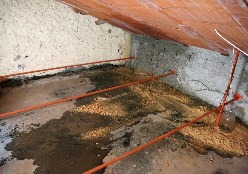 Attic Water Damage Repair in Conroe, TX