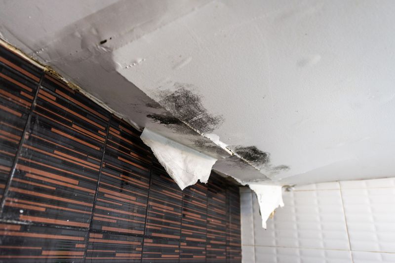 Bathroom Water Damage Repair in Houston, TX