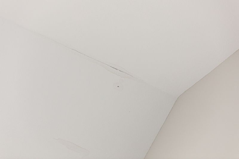 Ceiling Leak Repair Service in Charleston, SC