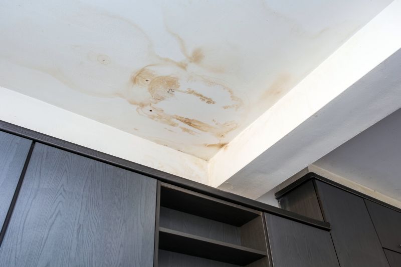 Ceiling Leak Repair Service in Alpharetta, GA